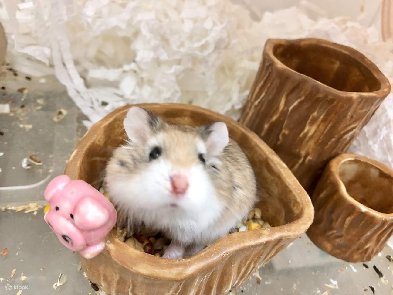 Create Bar Studio - 도자기 공방 | 콰이퐁【독점 30% 할인】